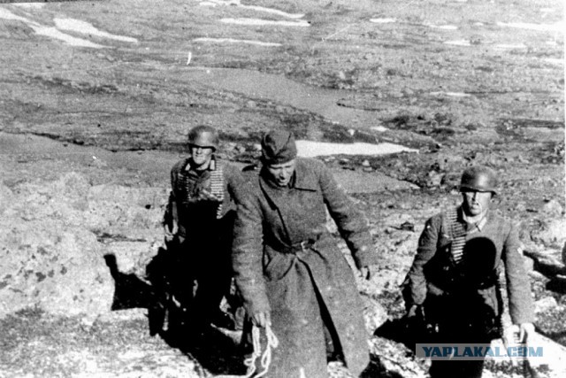 Мурманские поисковики нашли останки расстрелянных красноармейцев по фотографиям из немецкого архива