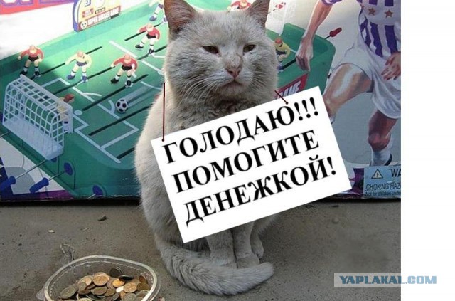 Разоблачение попрошайки-инвалида