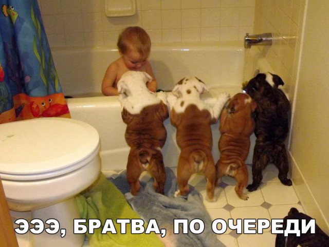 Небольшая подборка разного из сети.