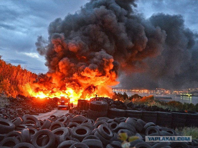 Солярка и шашлык