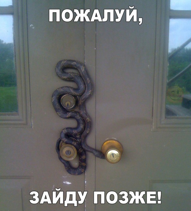 Всякие разные картинки