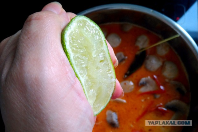 Том Кха Кунг — острый суп на кокосовом молоке с креветками