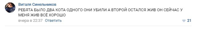 Еб**ь, Наташ: Девочки-подростки транслировали в Сети зверское убийство котенка (18+)