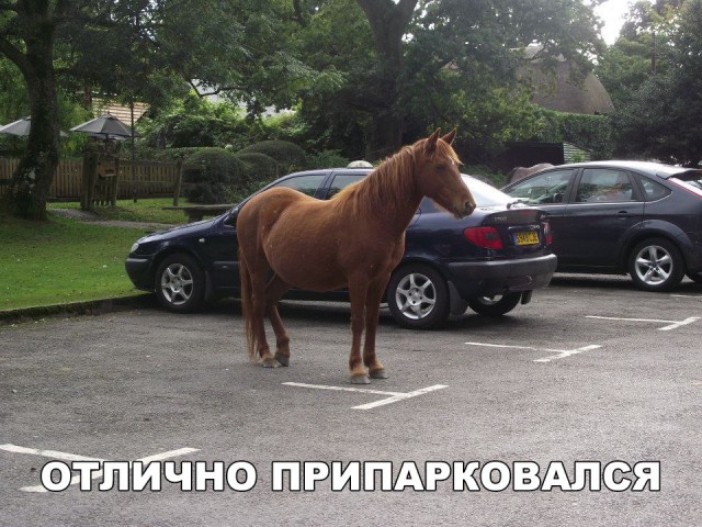 Прикольные картинки обо всём