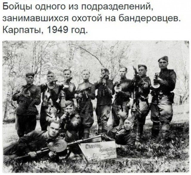 Картинки по-приколу