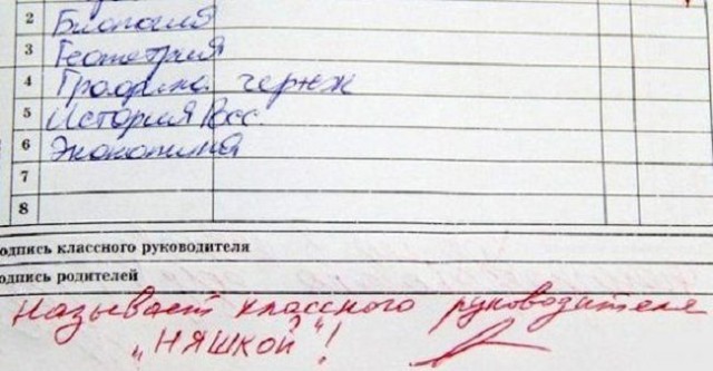 Записи в школьных дневниках и тетрадях
