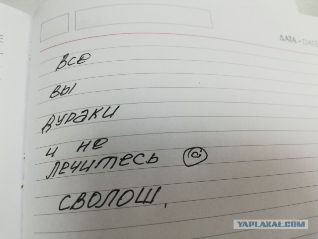 Мужчины умнеют. Женщины негодуют