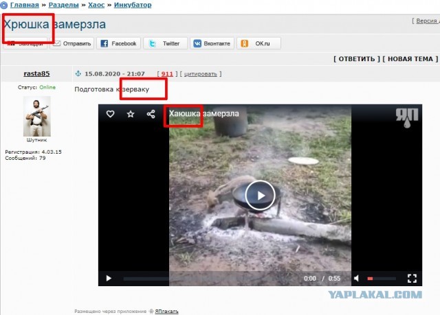 Хрюшка замерзла