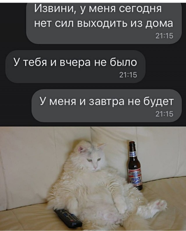 Картинки и мемы для настроения 012