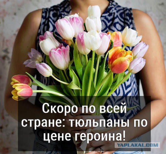 «Цены кусаются, мужчины недовольны». Матвиенко возмутила стоимость цветов перед 8 марта