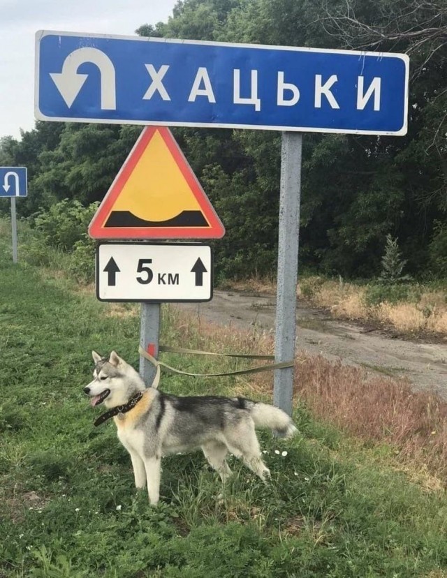 Картинки разные