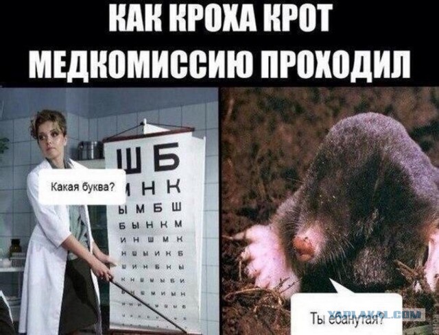 Бредзона 21.03.2021