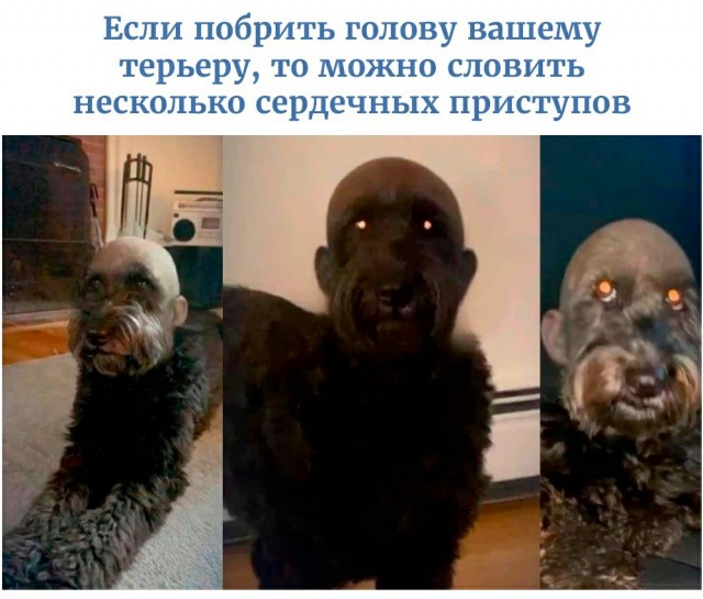 Весёлый полтишок 2.04