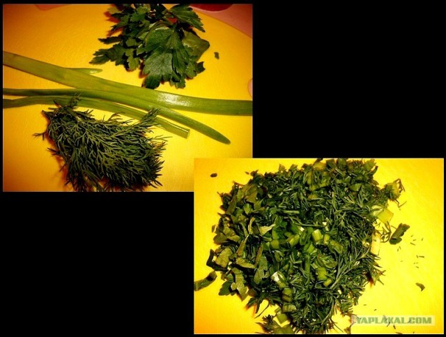 International одной книги., В память о Дженибеке.