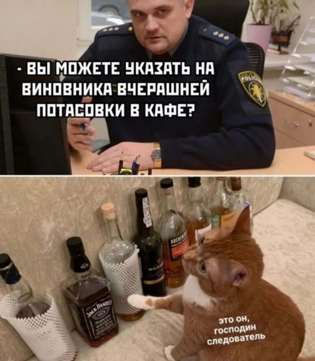 Смешные мемы про алкоголь