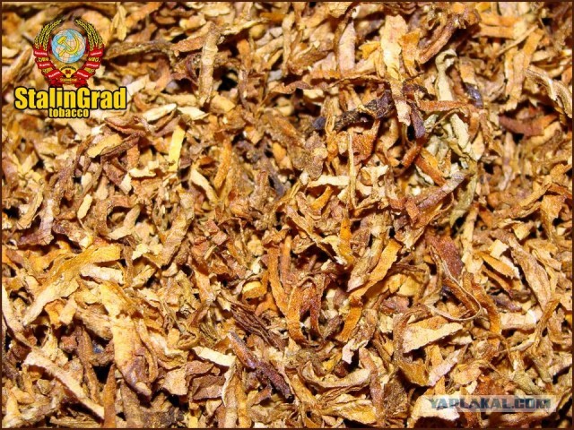 Почти 1500 сигарет с 1 килограмма развесного табака