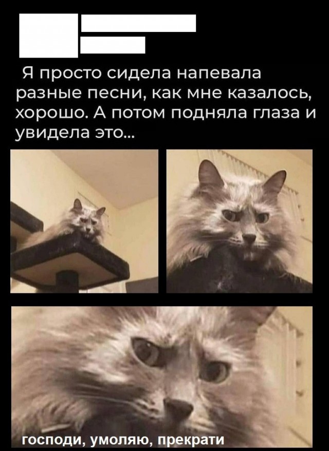 Баяны бабыЯны