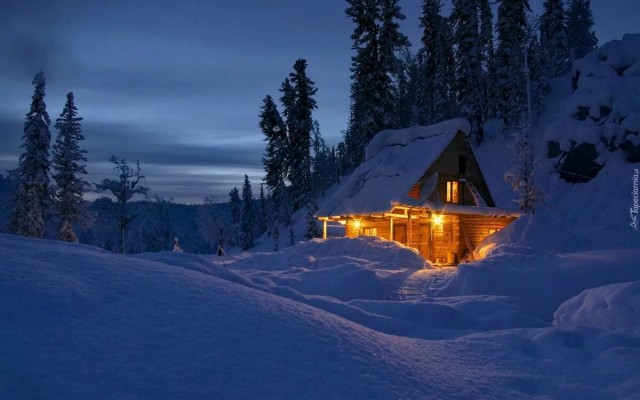 Уютные дома в зимнем лесу