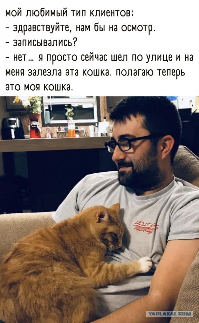 Так себе картинки 12.04.22