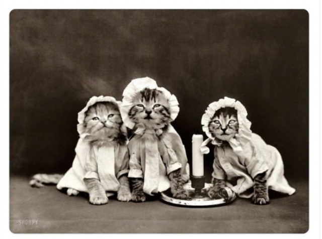 Очень странные дела в очень неожиданных фотографиях