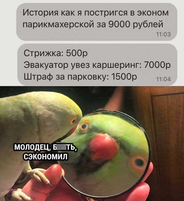 Так себе картинки 17.06.22