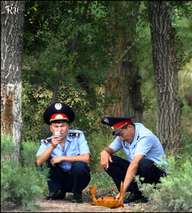 Какой же удачный кадр