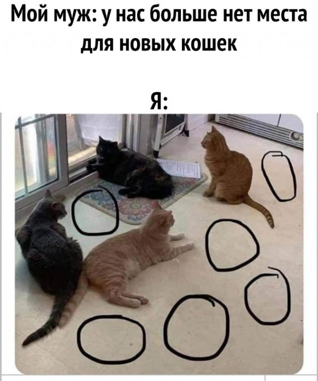 Немного картинок для настроения - 127
