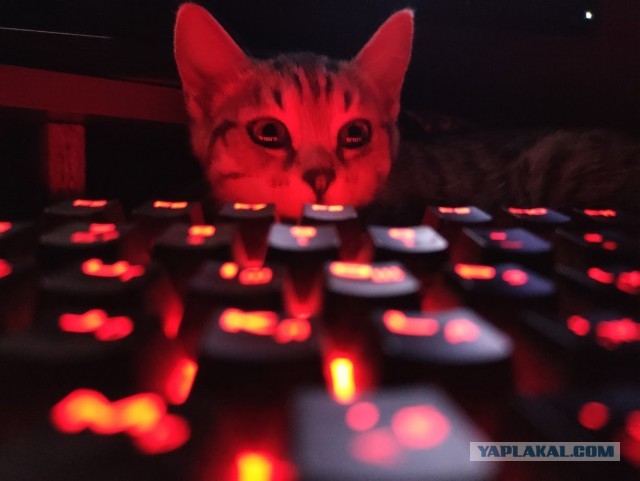 А что у вас стоит на системнике?