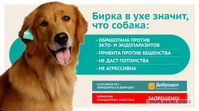 Скан копия паспорта..."бич" нынешного времени.