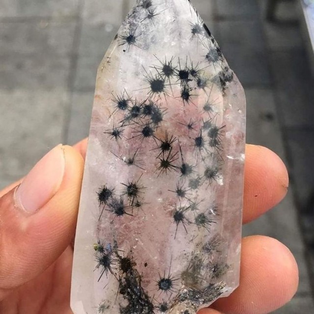 16 познавательных фото обо всём на свете, которые помогут утолить ваш голод к знаниям