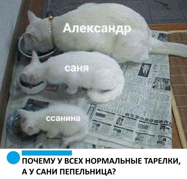 Так себе картинки 08.08.23