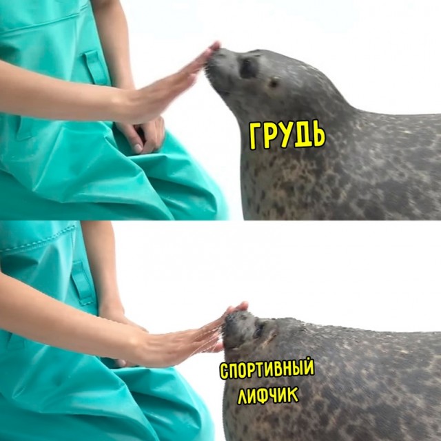Весёлый полтишок 20.09.23