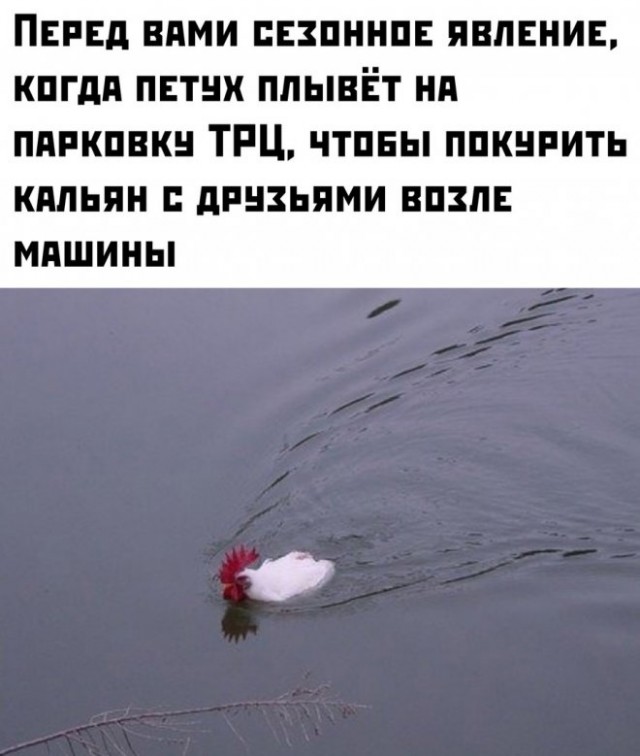 Просто картинки из сети