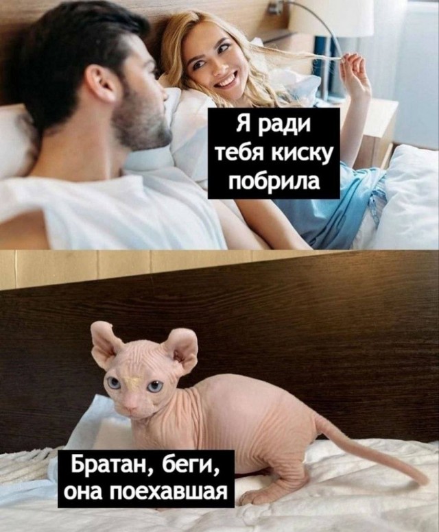 Дристоль два ноль