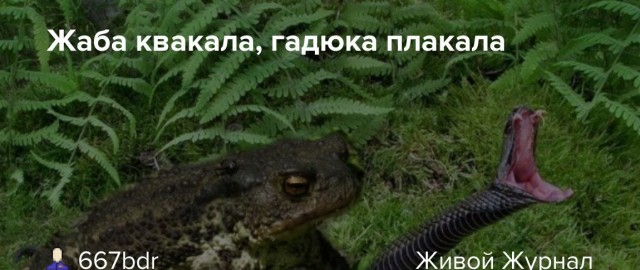 Основательница Wildberries Татьяна Бакальчук в слезах опубликовала обращение к мужу после стрельбы около офиса компании