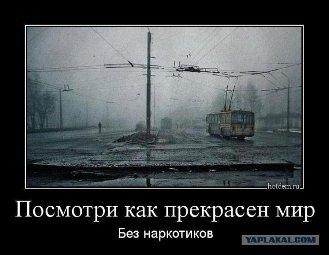 Одна доза психоделических грибов снимает депрессию на 5 лет — исследование
