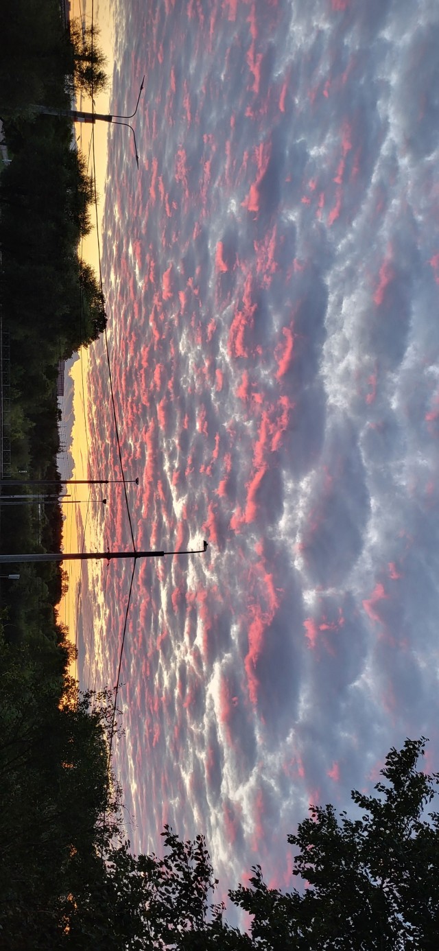 Всем привет! Как вам такой Санкт-Петербург???