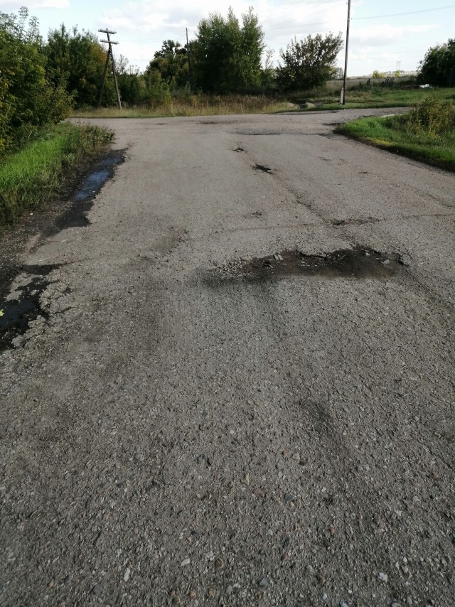 Токсичные и неблагодарные жители Воронежа