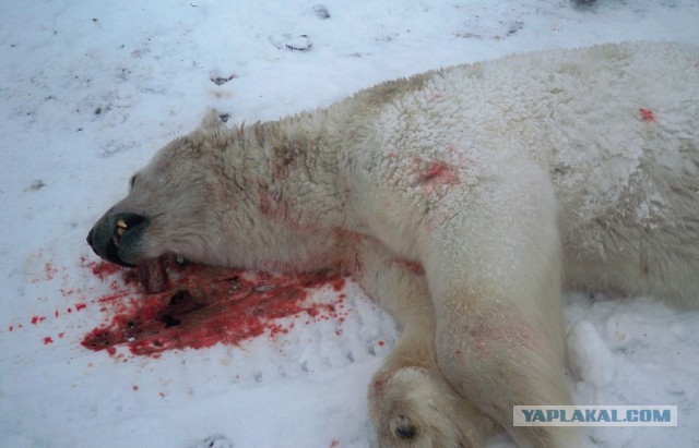 Cтанция Валькаркай