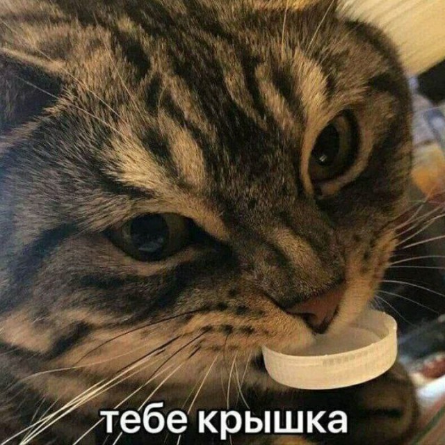 Входят в Мах