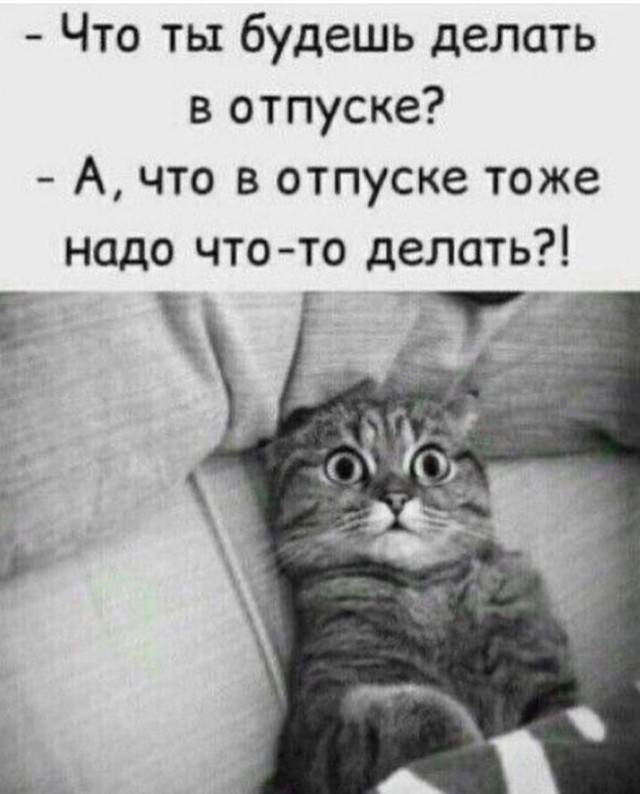 Мне тут доверили...