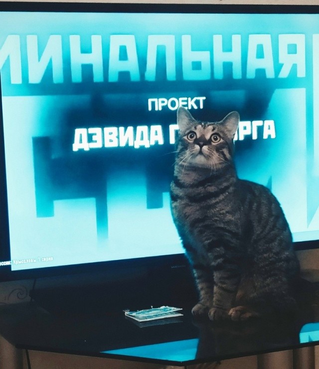 Милые "преступники"