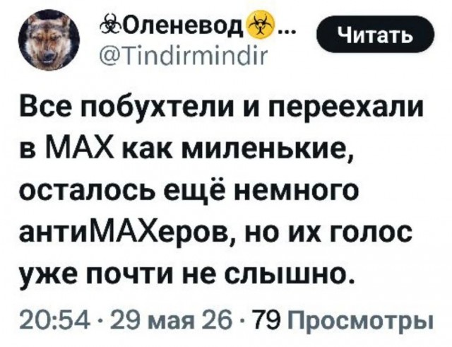 Про безопасный мессенджер Макс