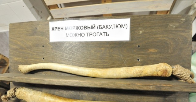 Сегодня отмечается Международный день Отправь нюдсы первым