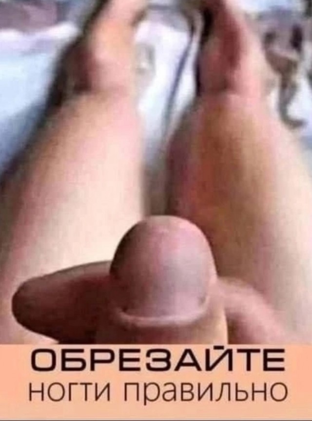 Нашёл на даче цветок⁠⁠