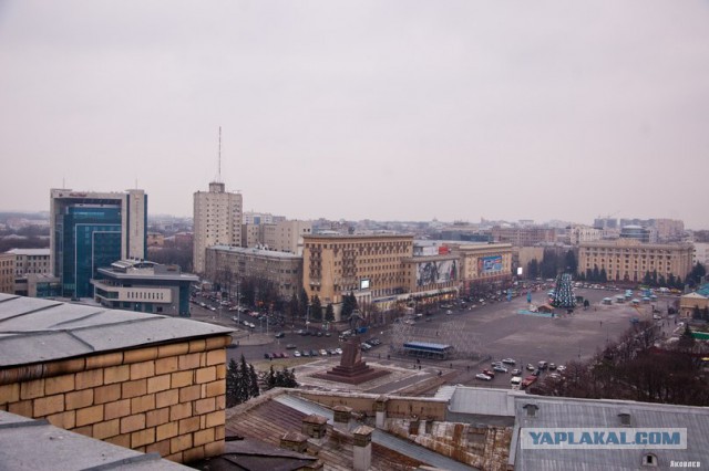 Ёлка в Харькове
