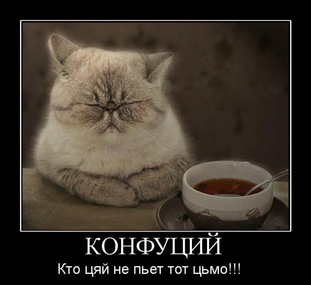 Не про олимпиаду
