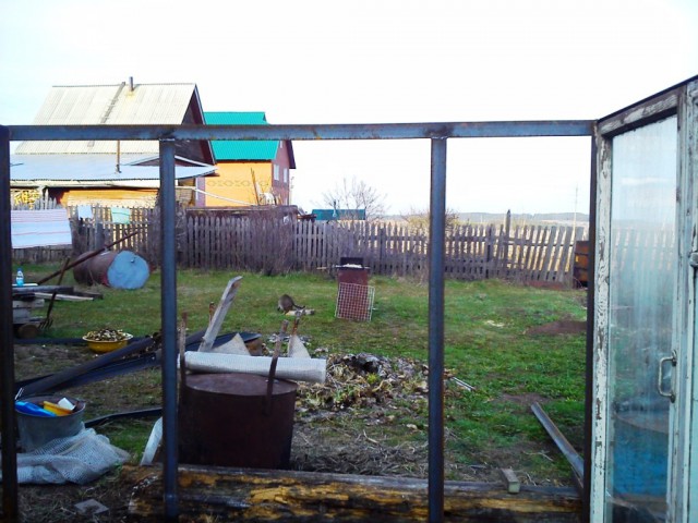 Как я парник запилил.