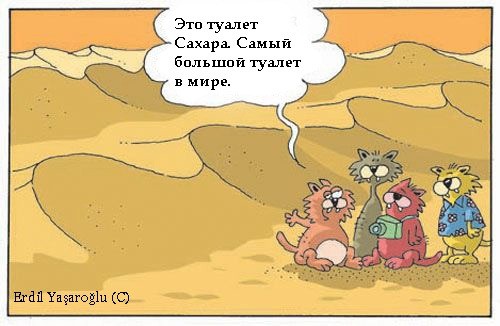 Кошачье мнение