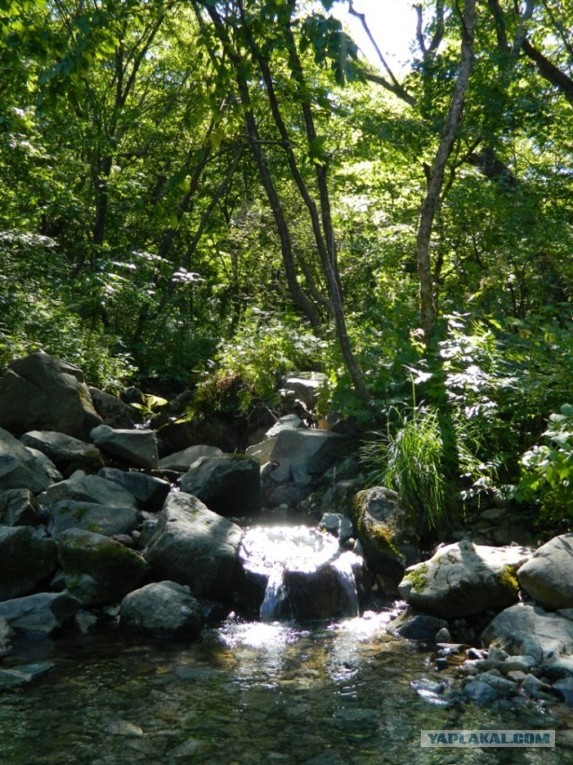 Бухта Теляковского